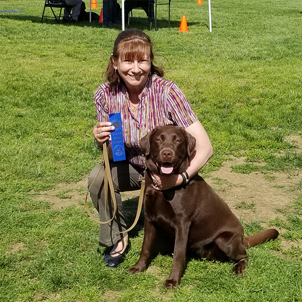Wilann Labradors, Labrador Puppies, Labrador Breeder Connecticut, Labrador Breeders New England