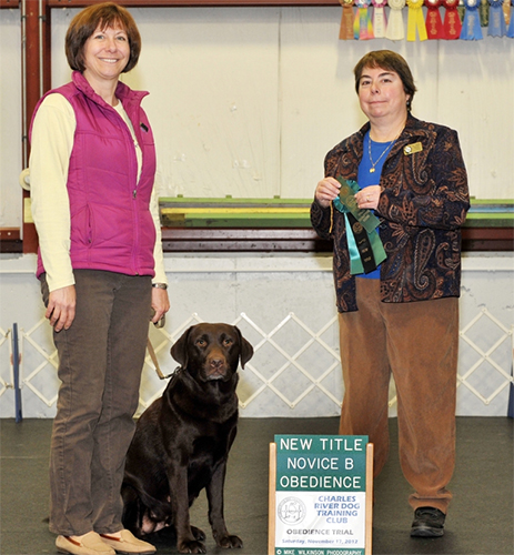 Wilann Labradors, Labrador Puppies, Labrador Breeder Connecticut, Labrador Breeders New England