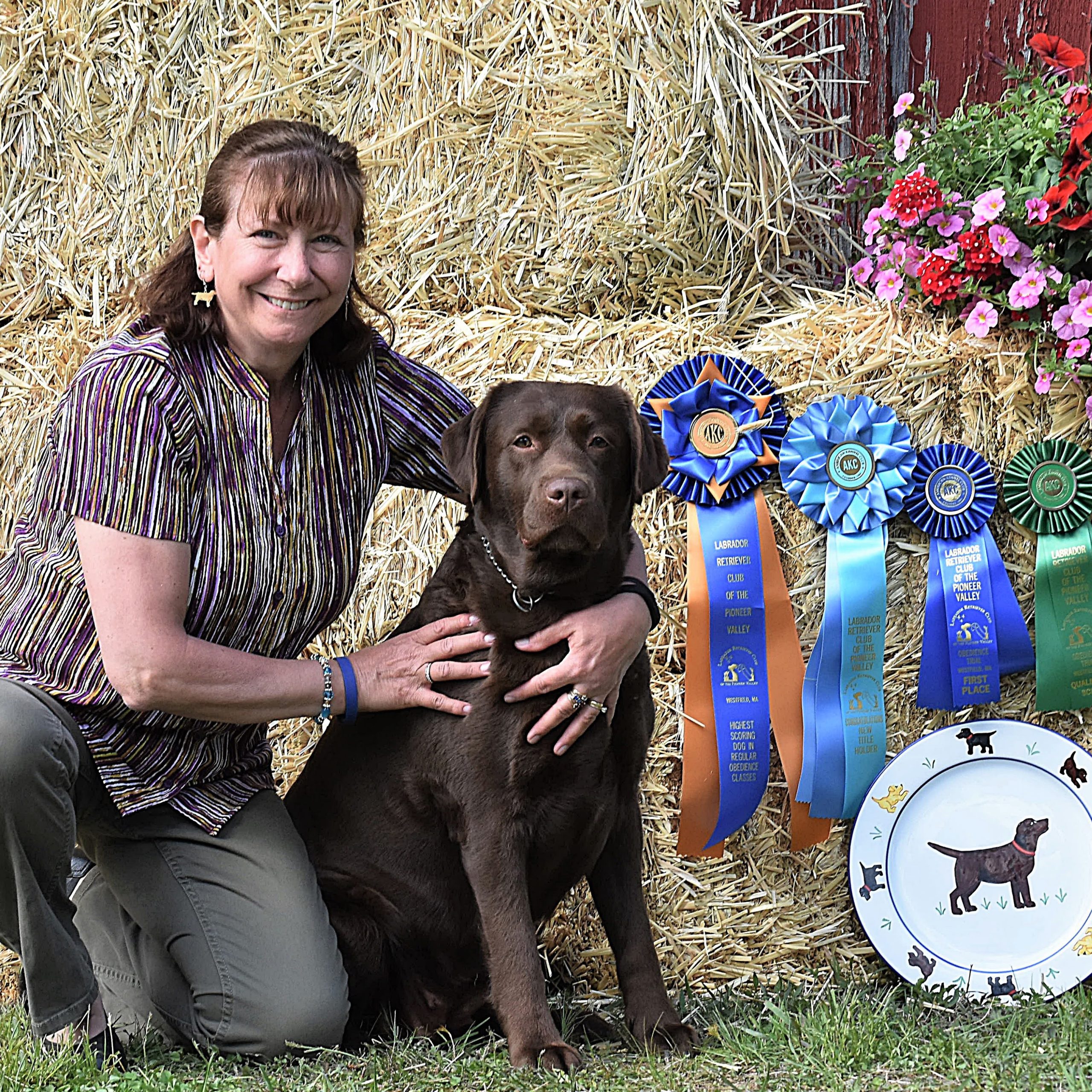 Wilann Labradors, Labrador Puppies, Labrador Breeder Connecticut, Labrador Breeders New England