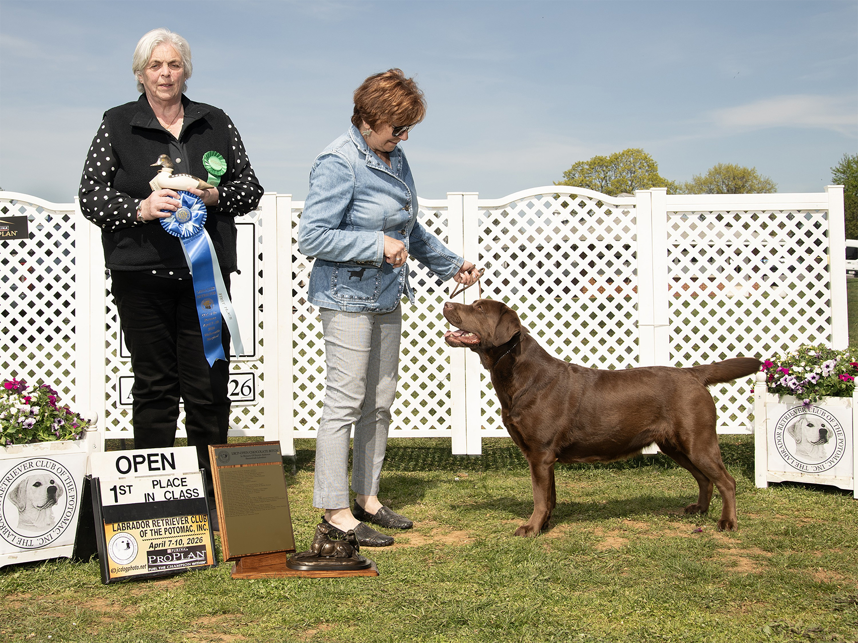 Wilann Labradors, Labrador Puppies, Labrador Breeder Connecticut, Labrador Breeders New England